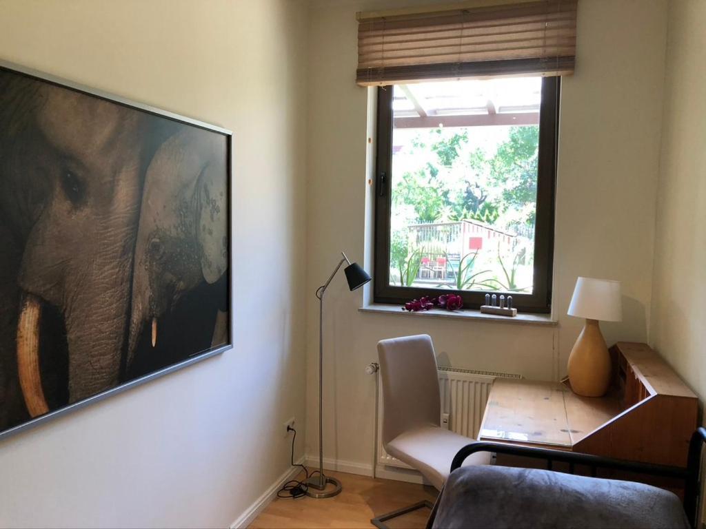 Ferienwohnung An Der Gruenen Clara Erfurt Extérieur photo
